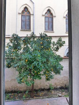 Views hotels Bari