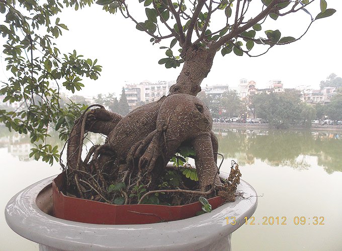 Hanoi lake