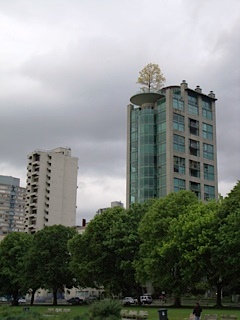 Vancouver 23