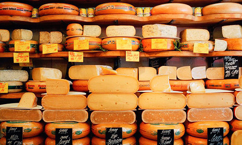 cheese