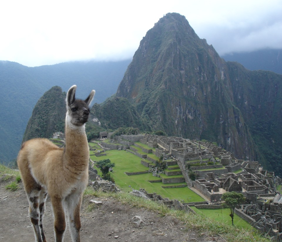 machu-picchu